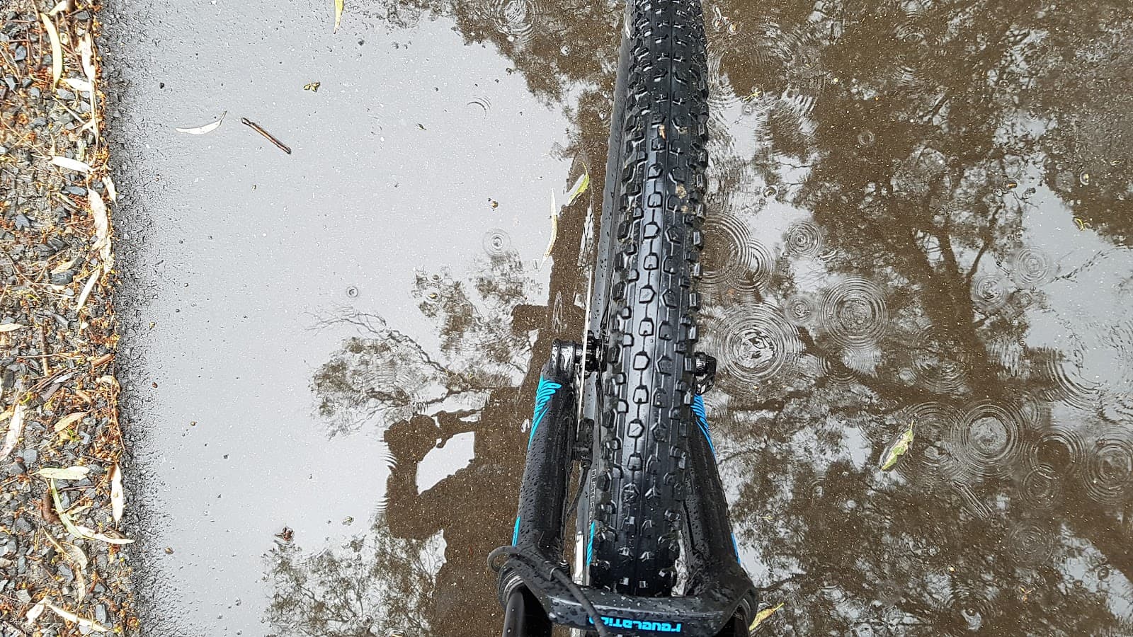 Amy Gillett Bikeway - Image 1