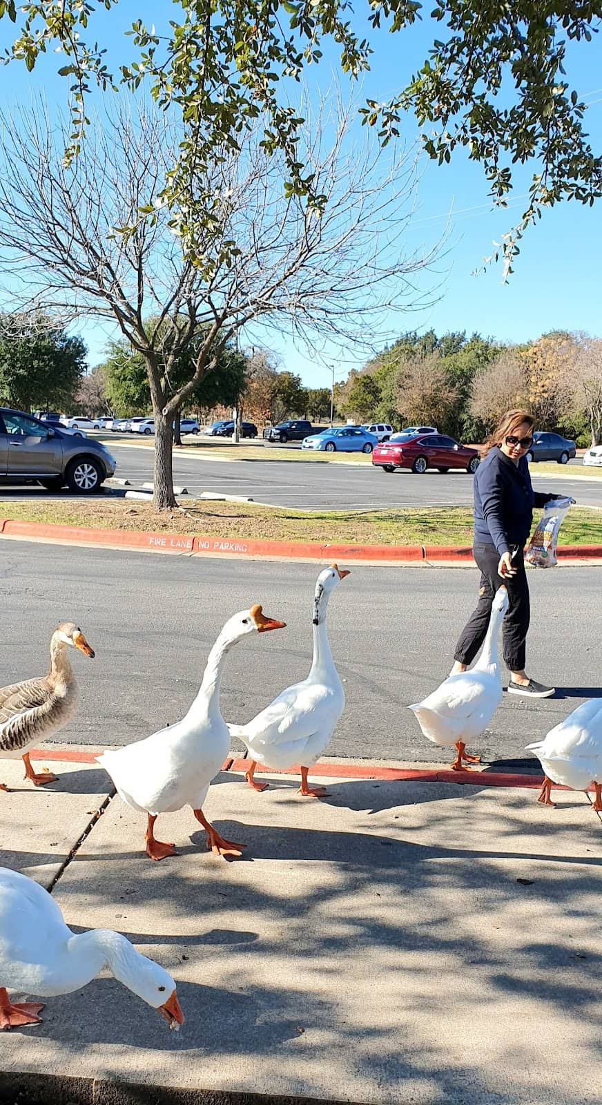 Chisholm Trail Crossing Park