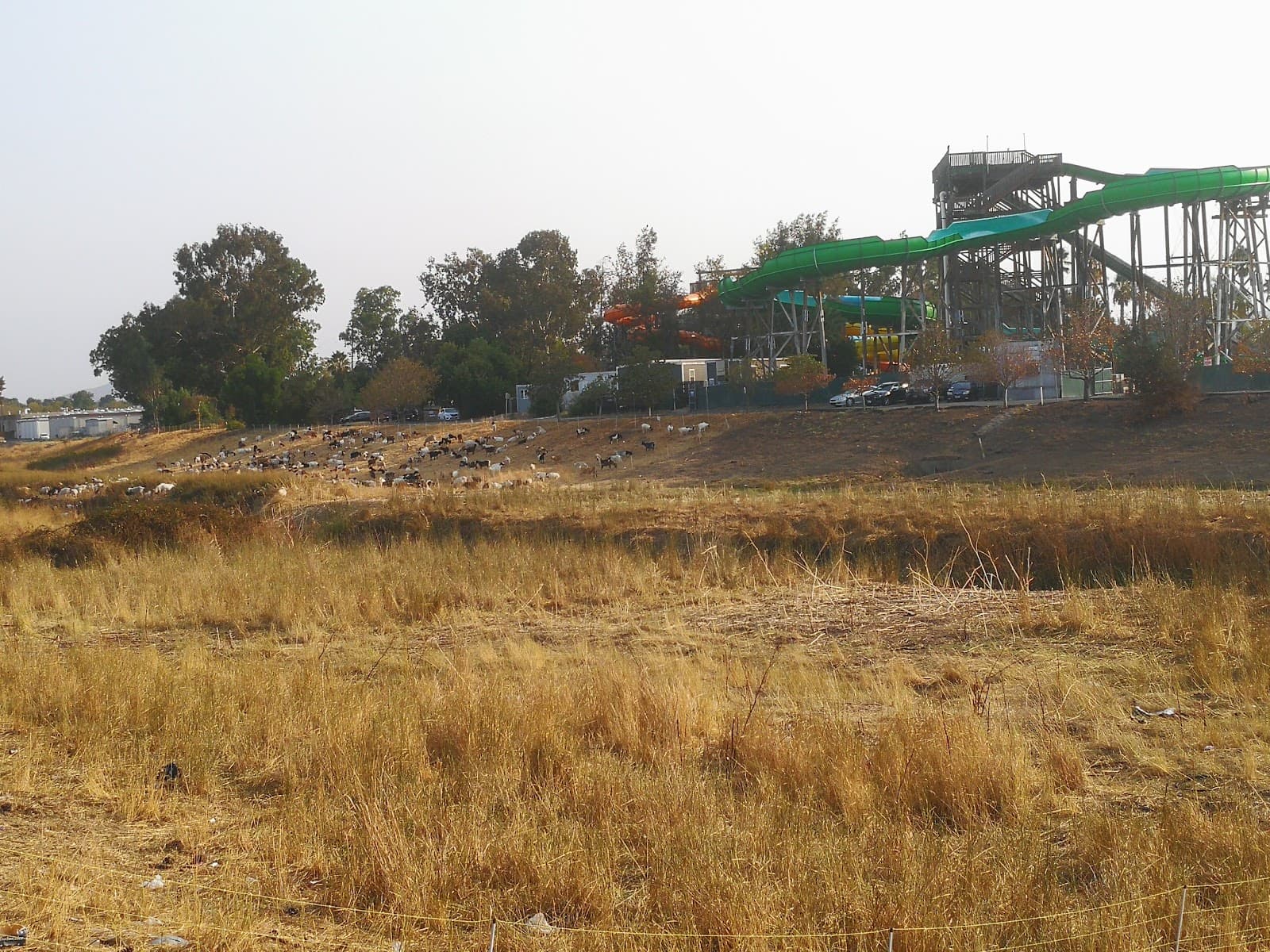 Iron Horse Regional Trail - Image 1