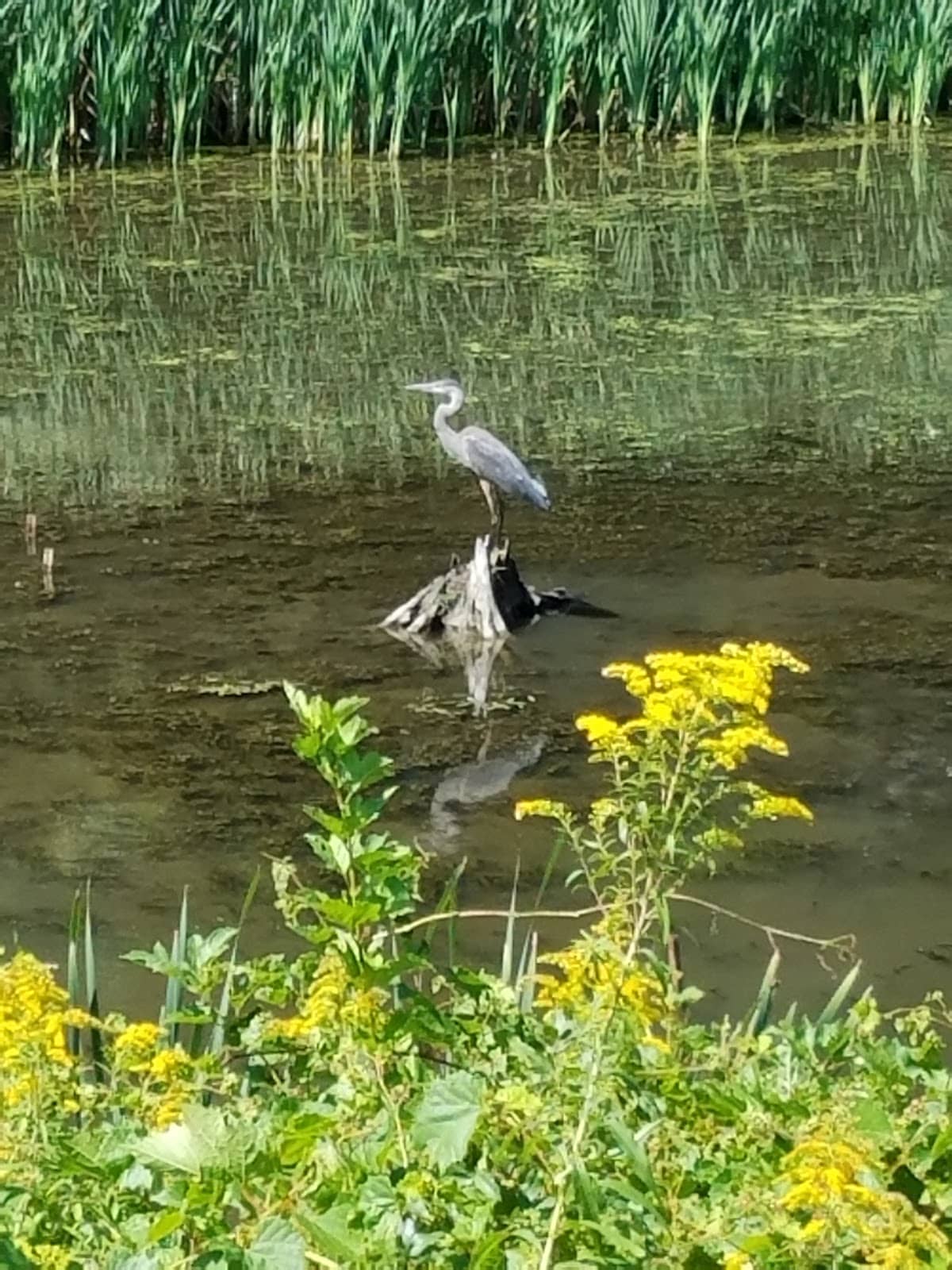 Well-Maintained Paved Surface