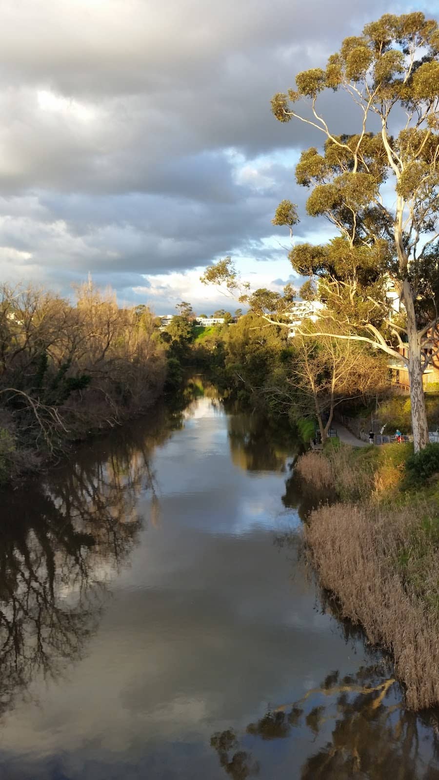 Main Yarra Trail Access