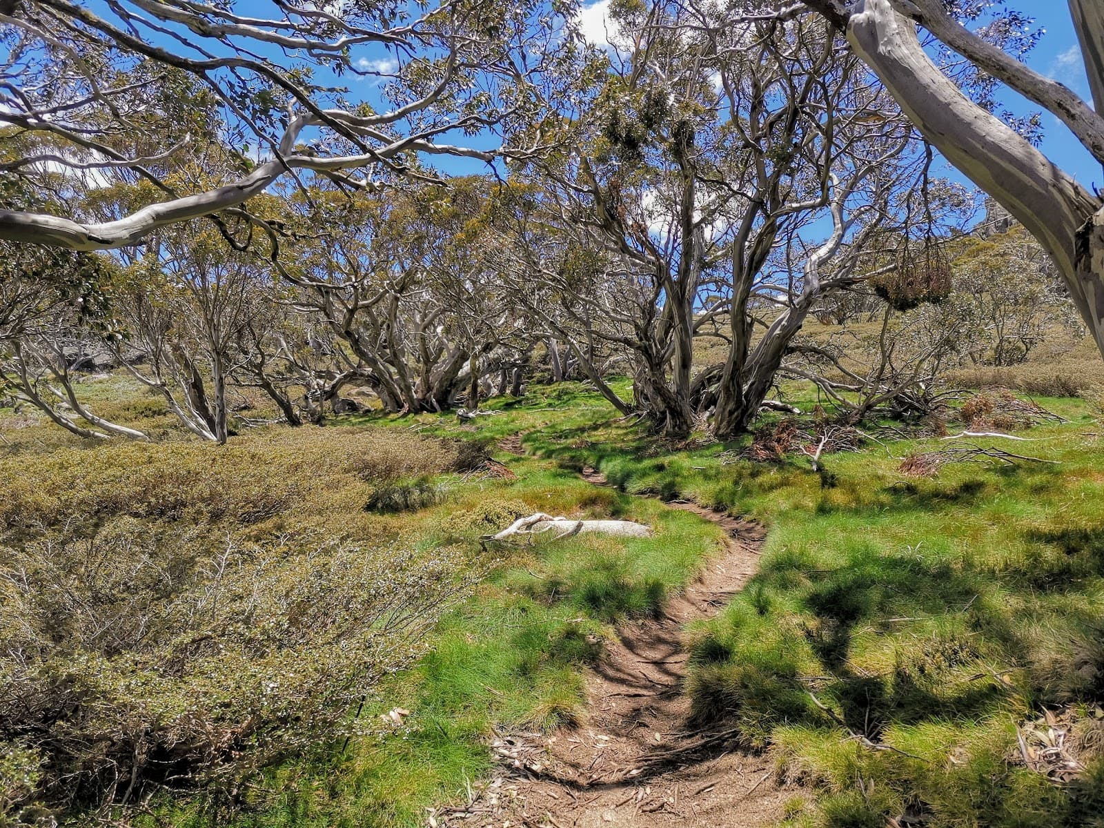Dead Horse Gap Lookout - Image 1