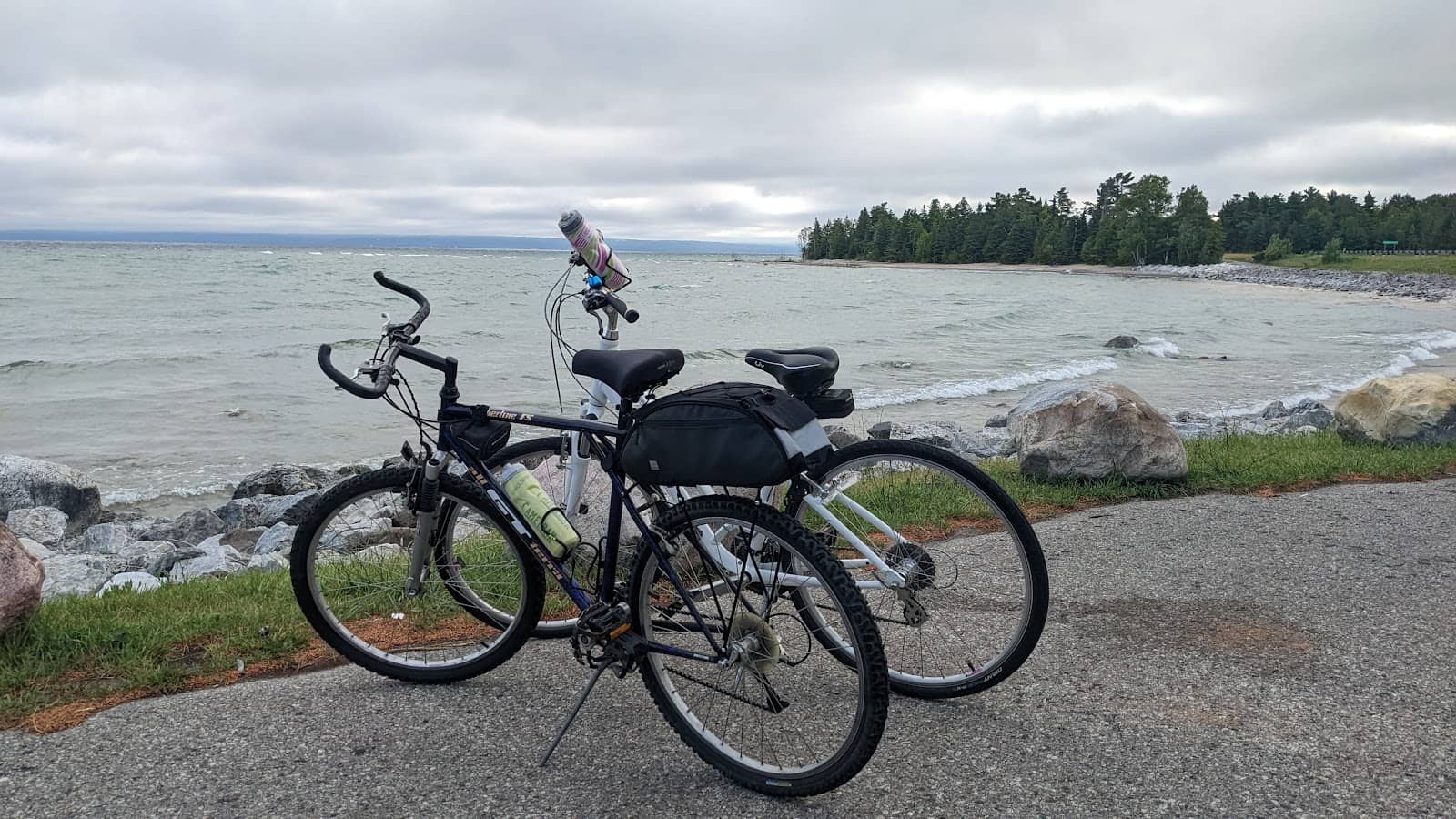 Tunnel of Trees (M-119)