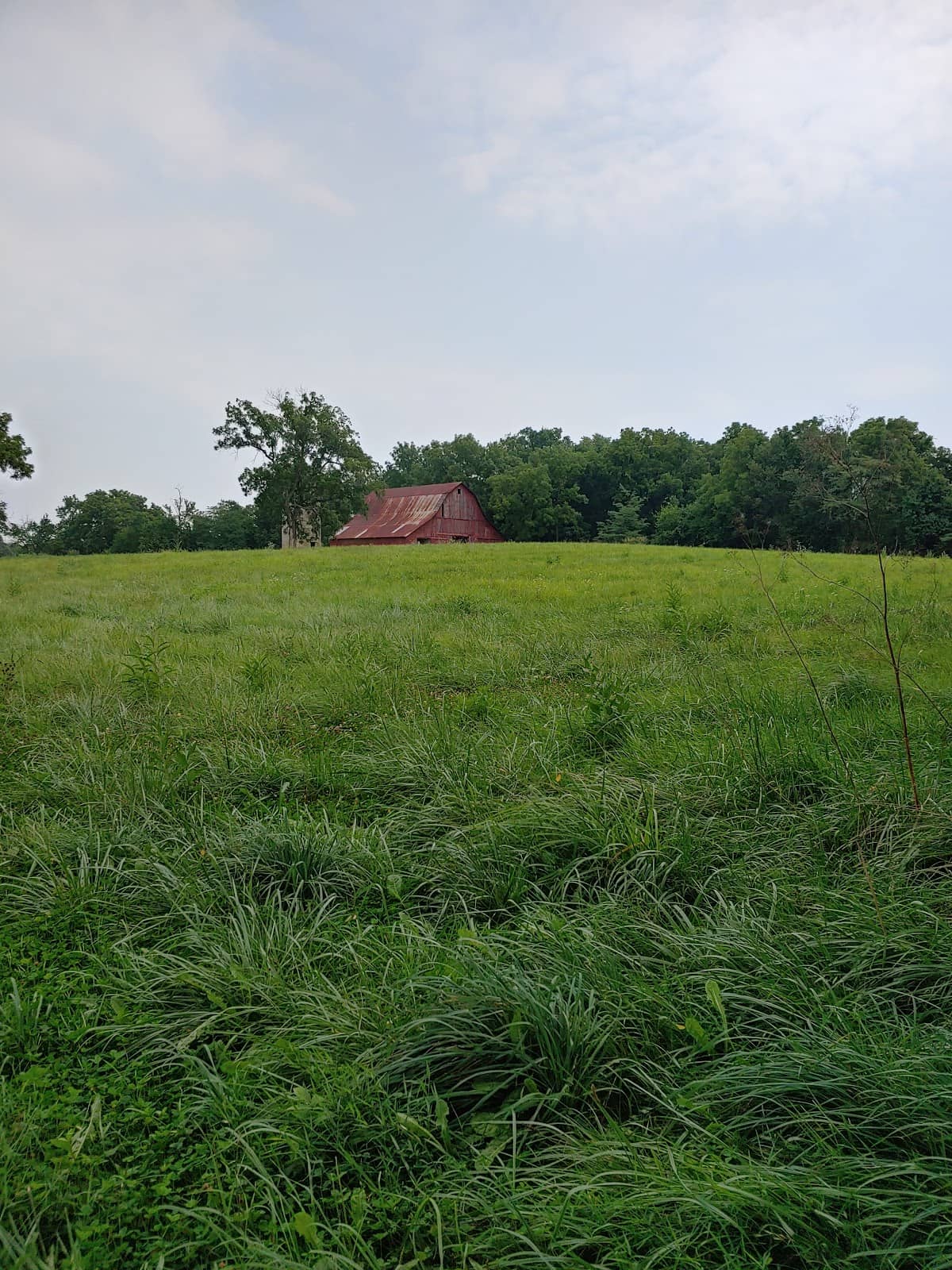 Scenic Running Paths
