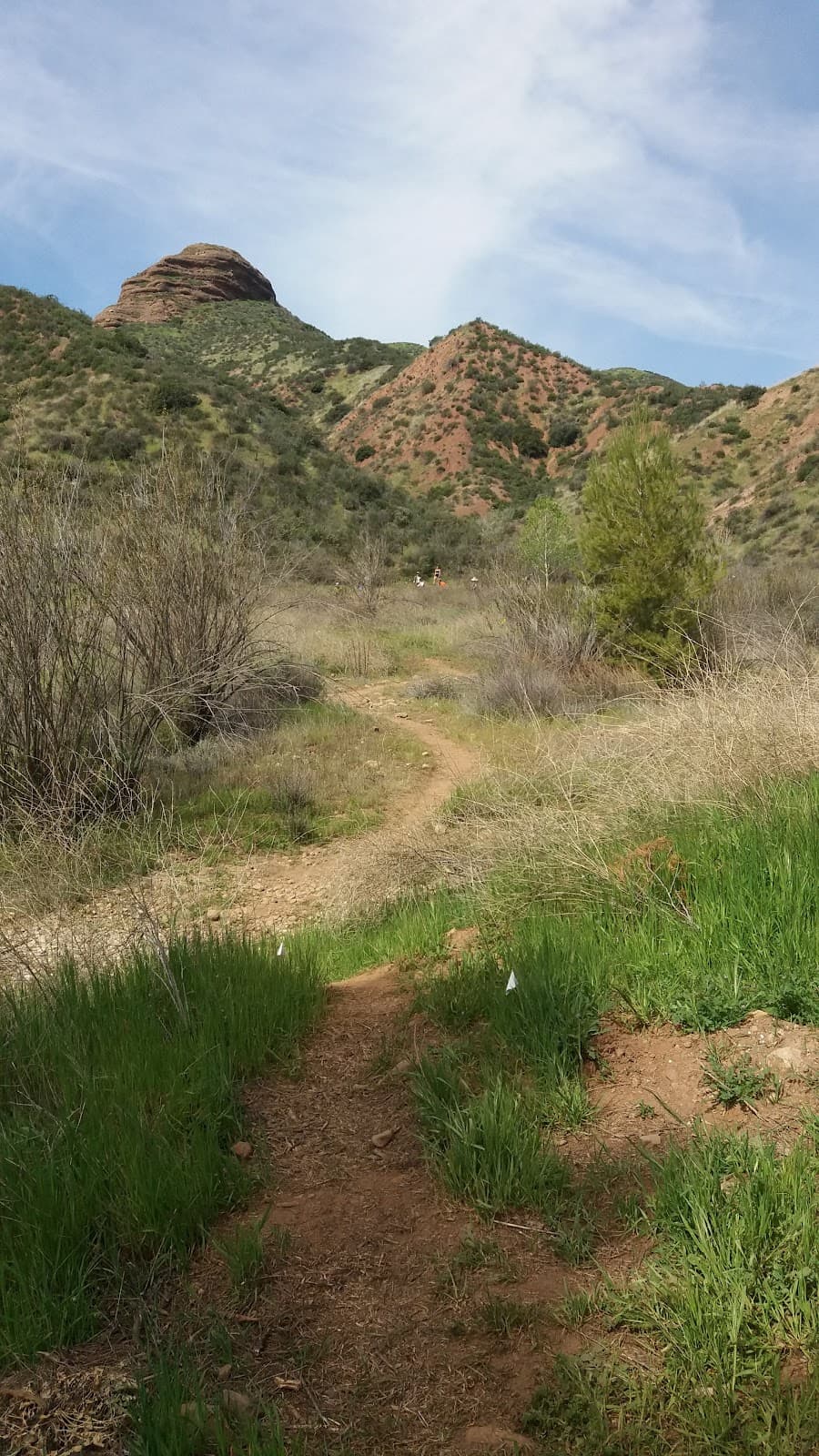 San Francisquito Canyon Road - Image 1