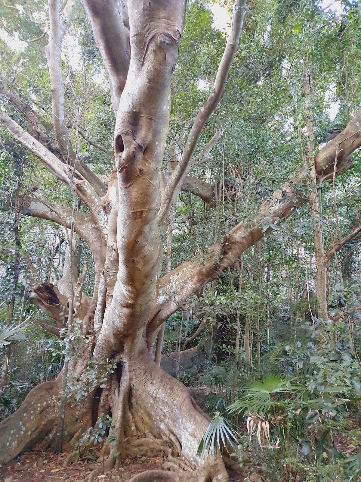 Vertical photo