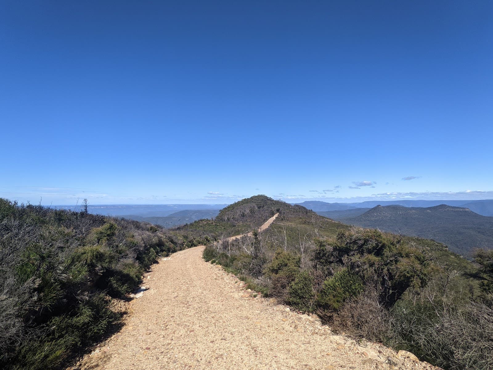Narrow Neck Plateau Blue Mountains - Image 1