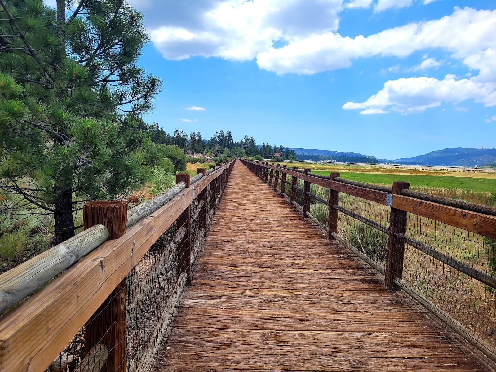 Stanfield Marsh Boardwalk - Image 1