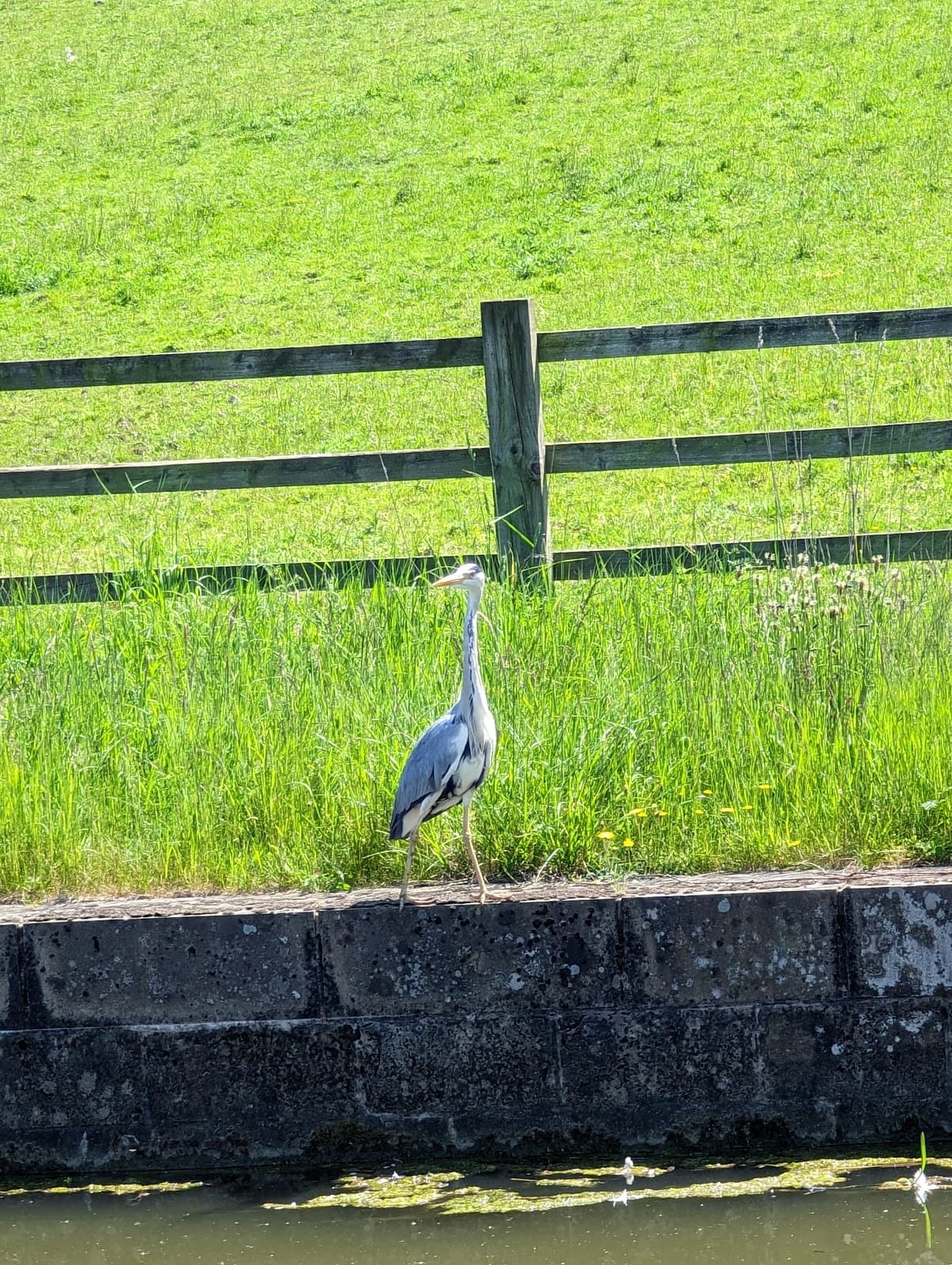 Chesterfield Canal Towpath Chesterfield Staveley - Image 1