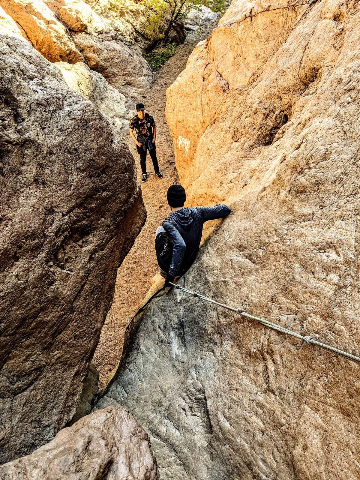 Vertical photo