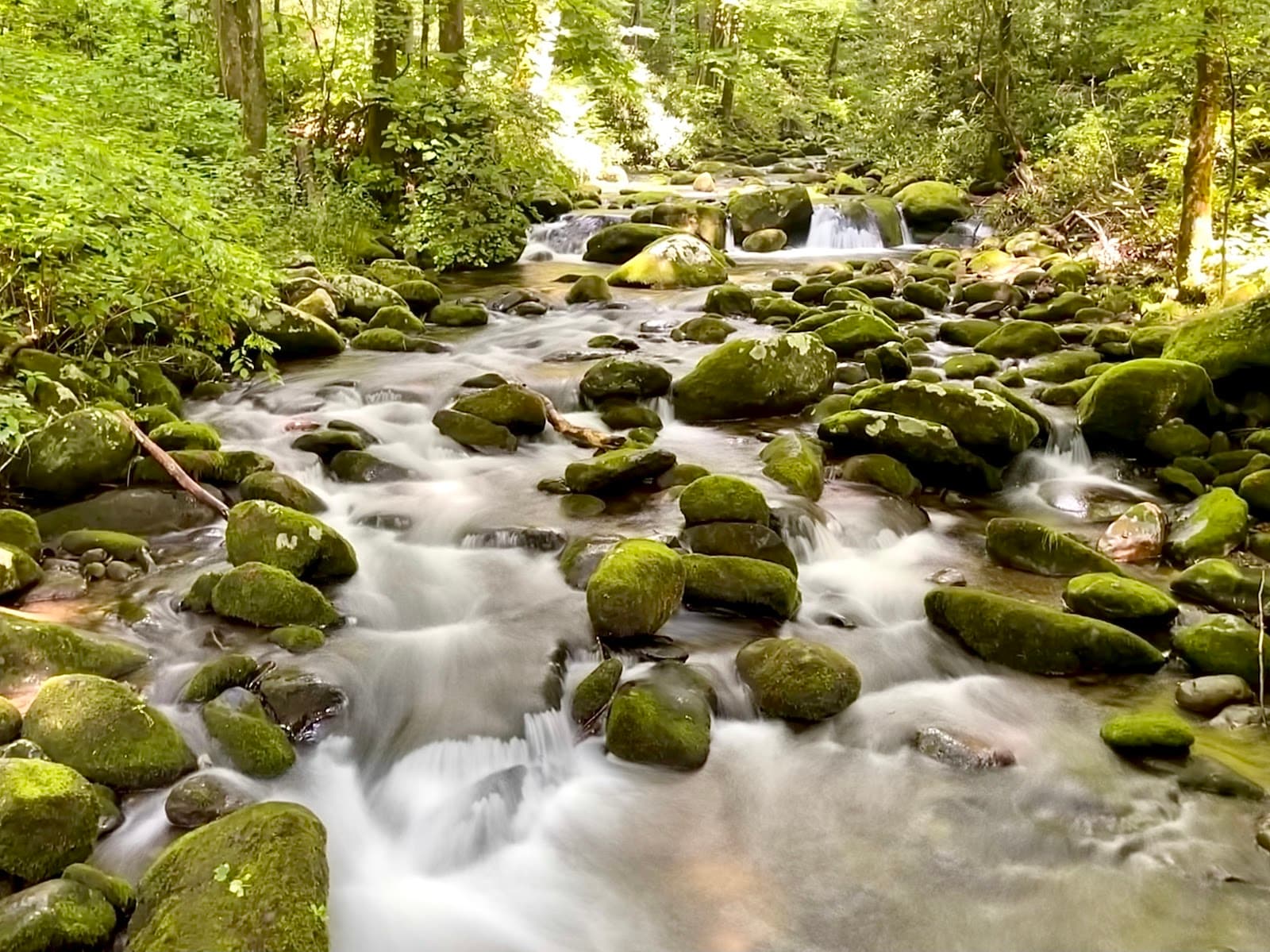 Roaring Fork Motor Nature Trail Gatlinburg Tennessee - Image 1
