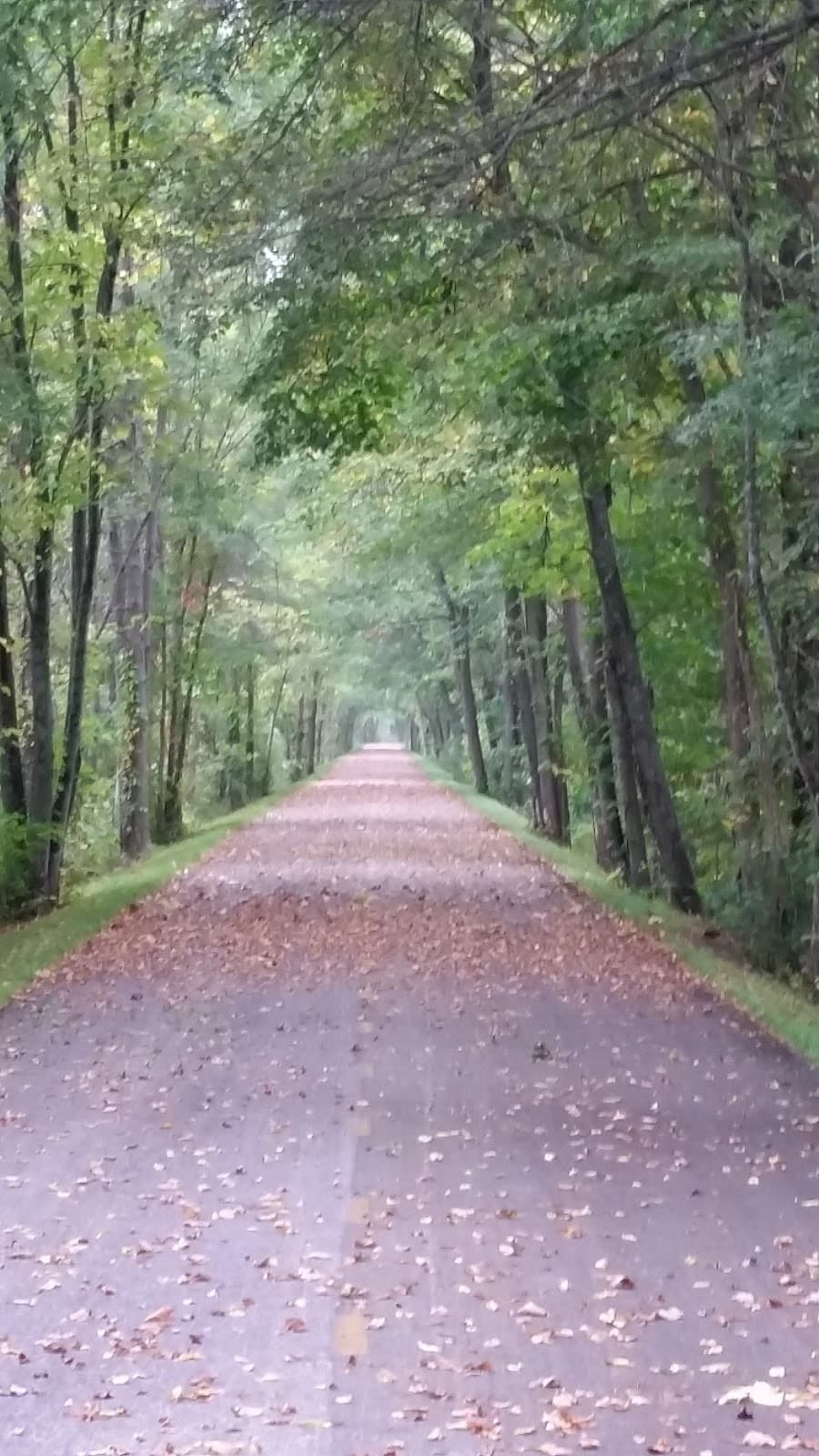 Holmes County Trail - Image 1