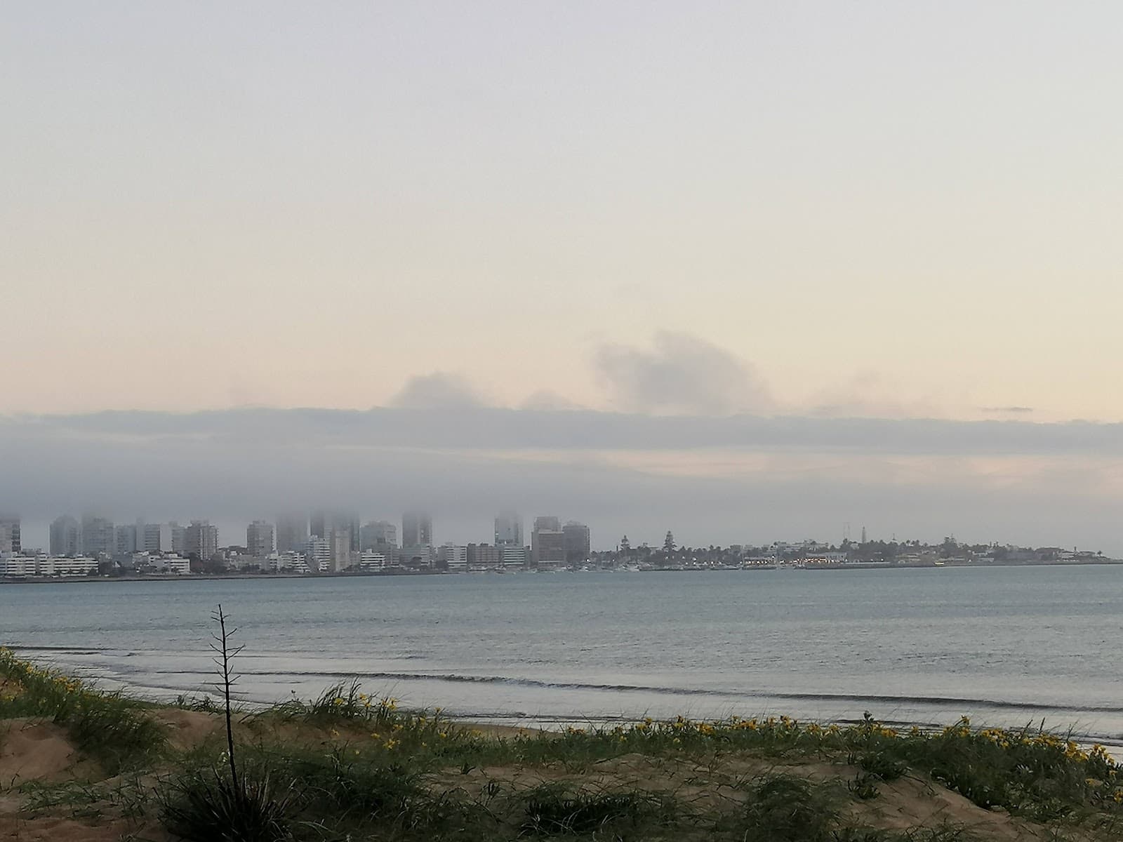 Rambla Brava Lorenzo Batlle - Image 1