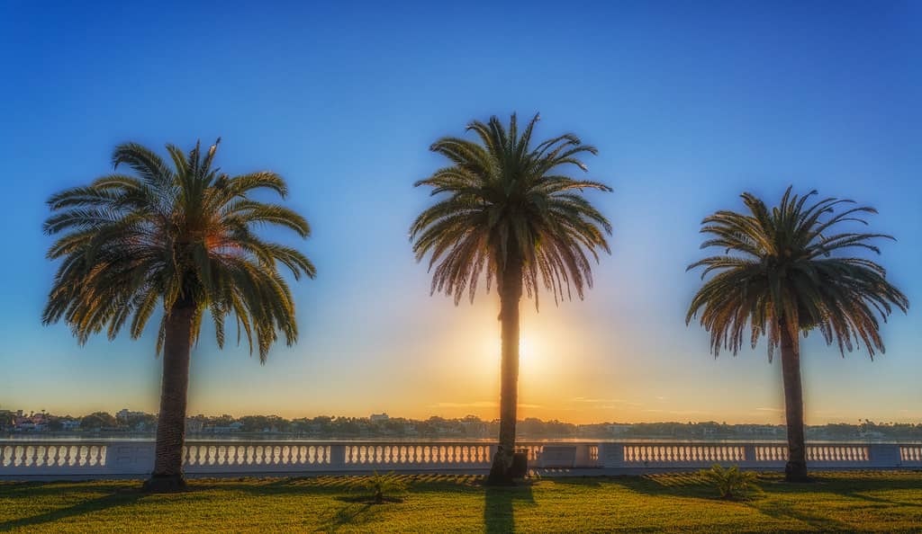 Sunrise & Sunset Spectacles