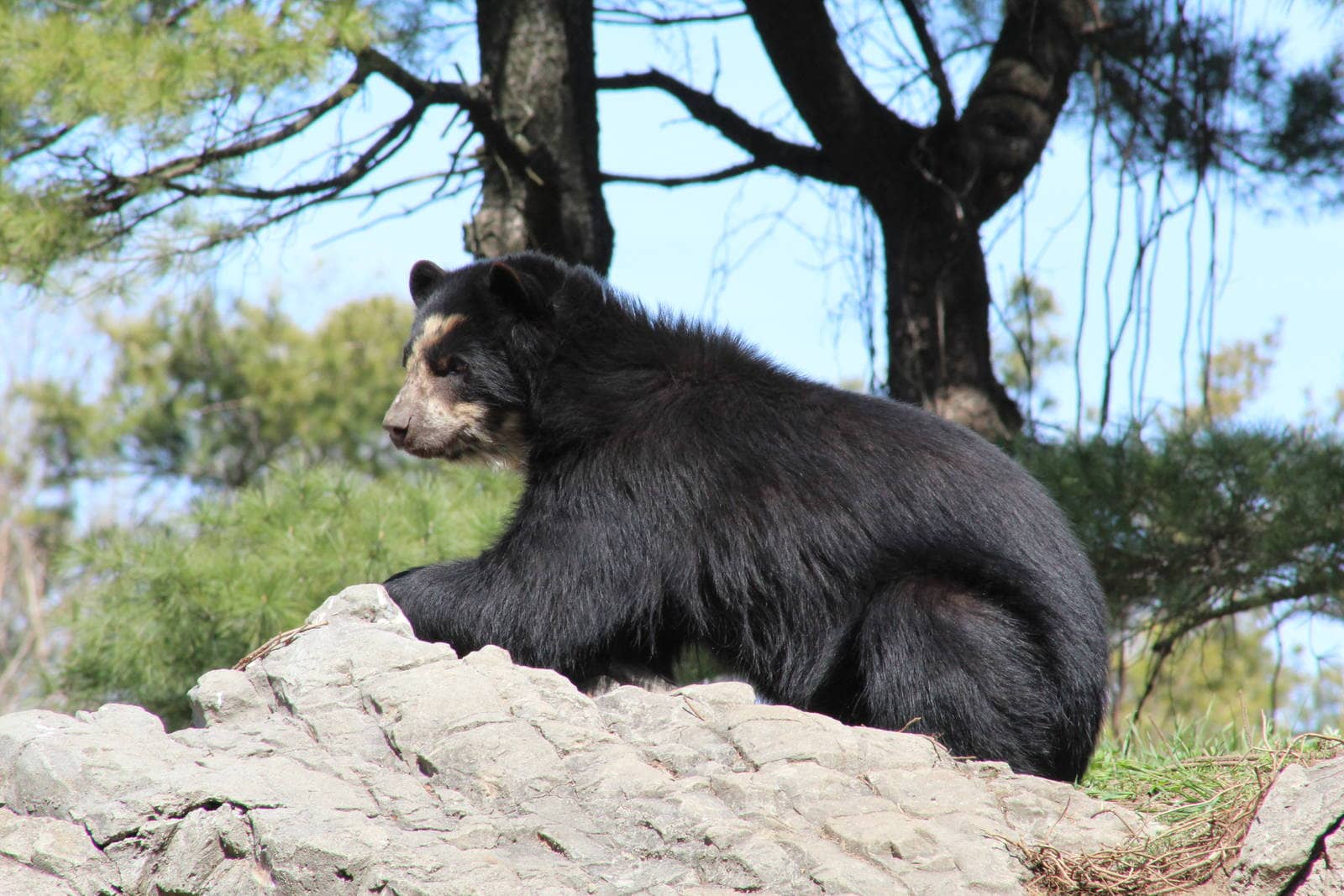 Queens Zoo