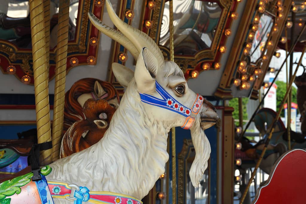 Kemah Boardwalk Carousel