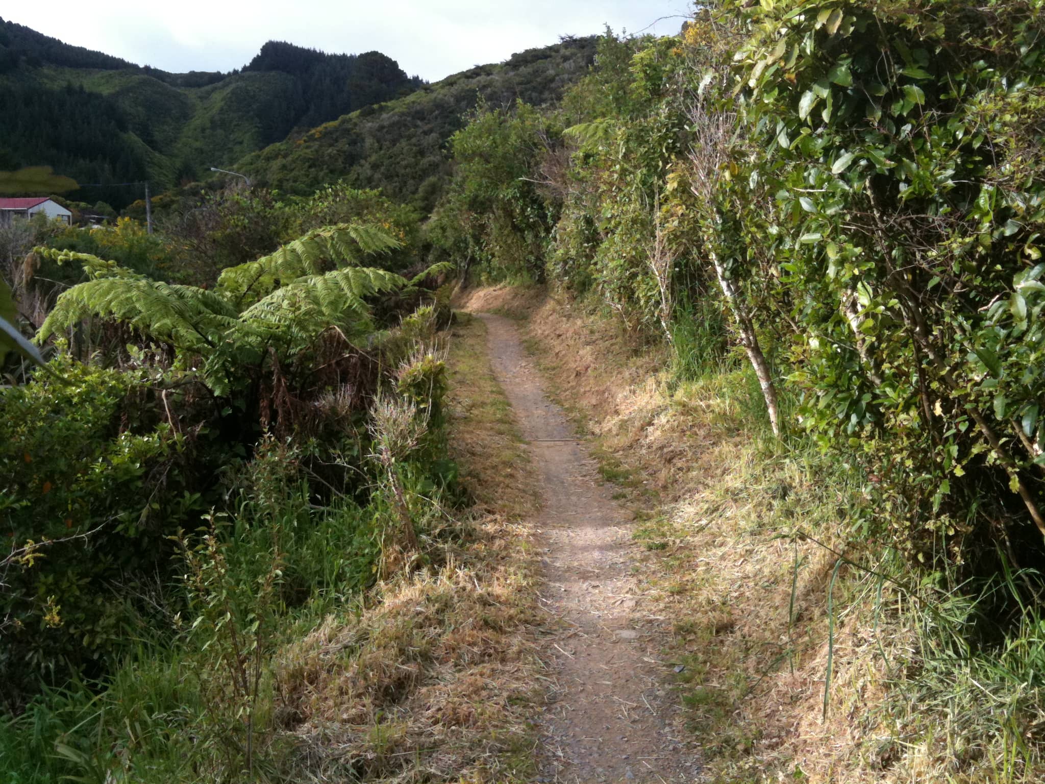 Makara Peak Views