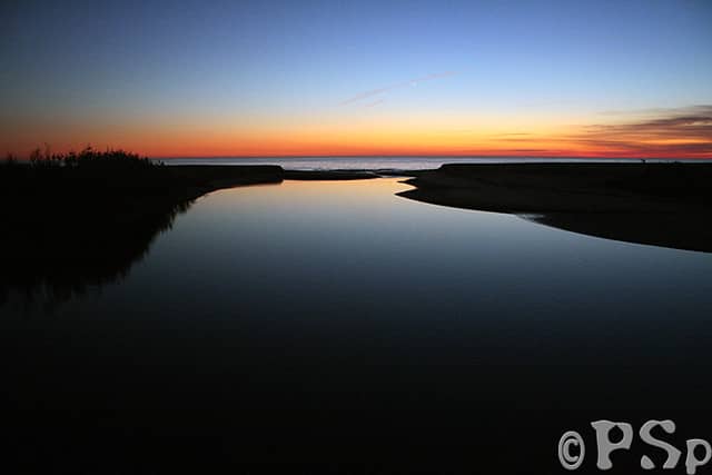 Sunset Spectacles