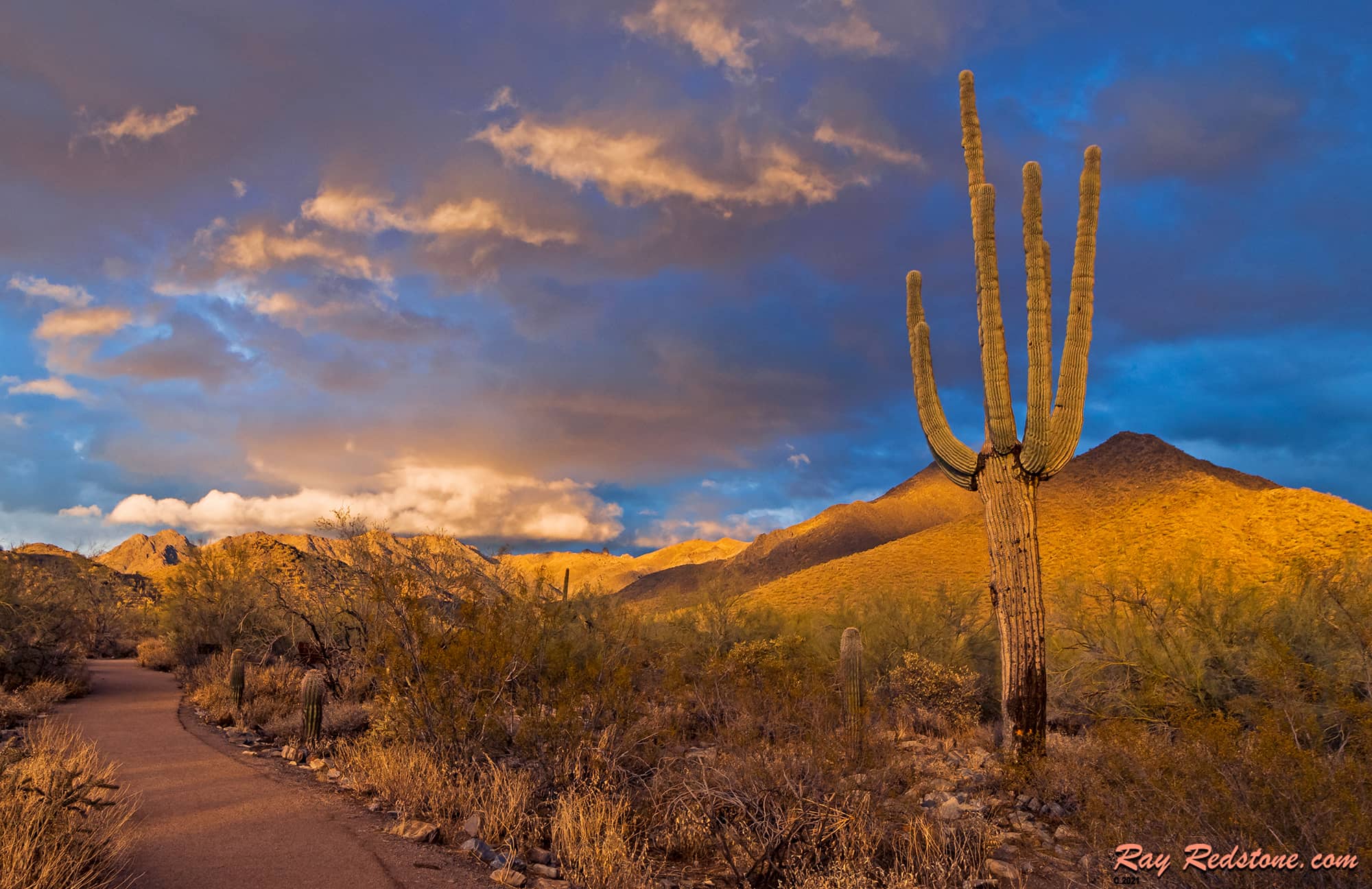 Desert Sunrise/Sunset