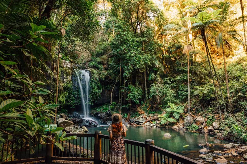 Rainforest Circuit