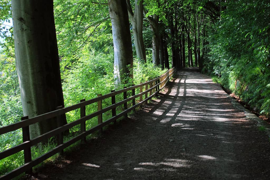 Nature Trails