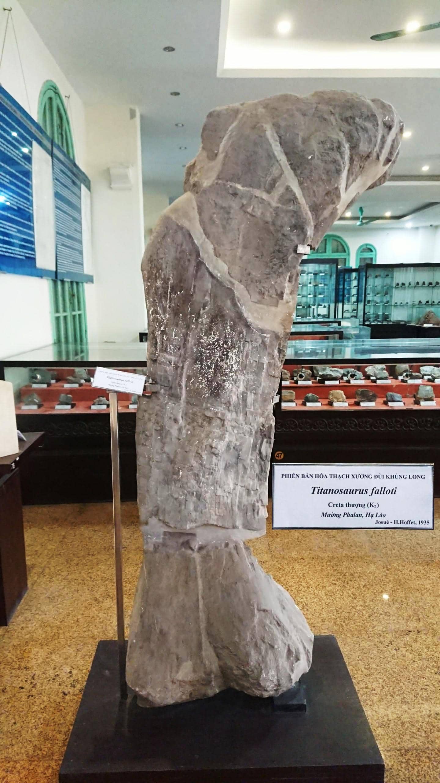 Fossil Collection