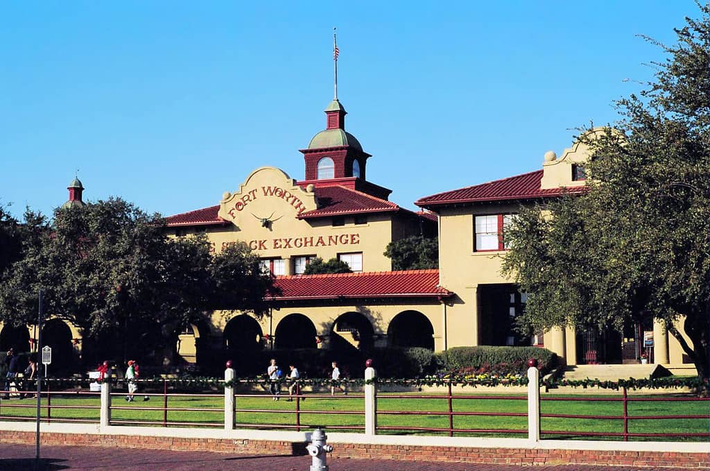 Artist Studios & Open Houses