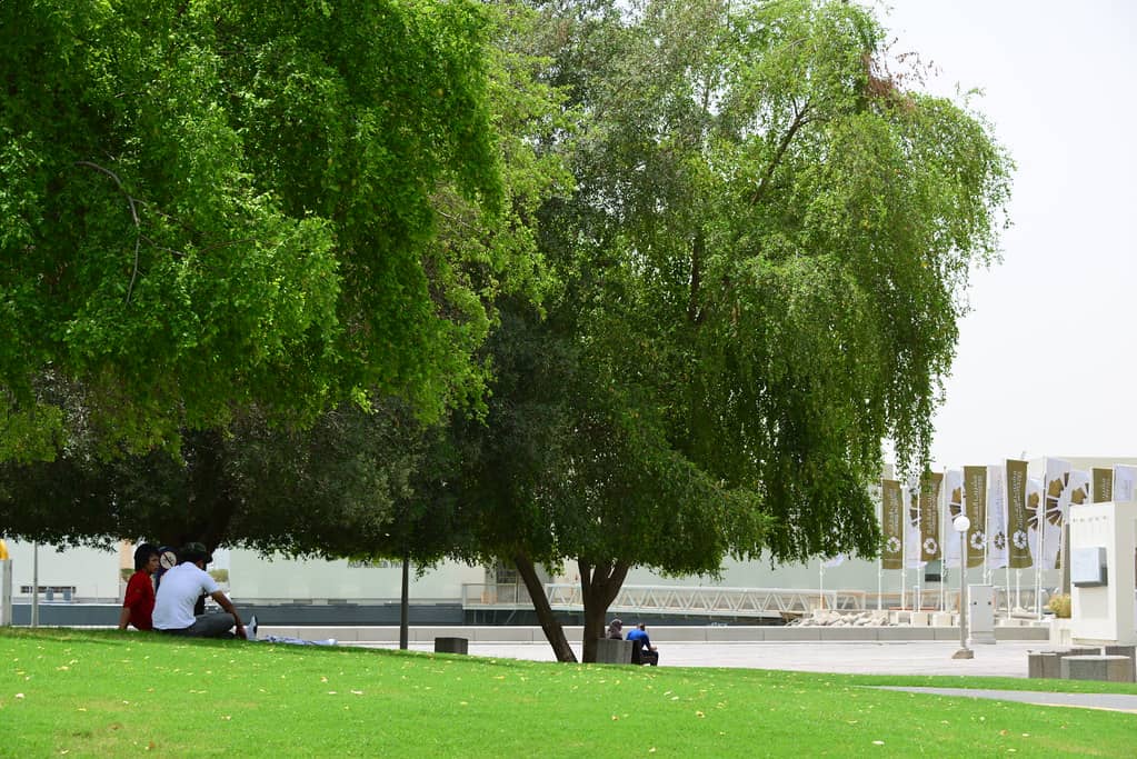 Al Dafna Park