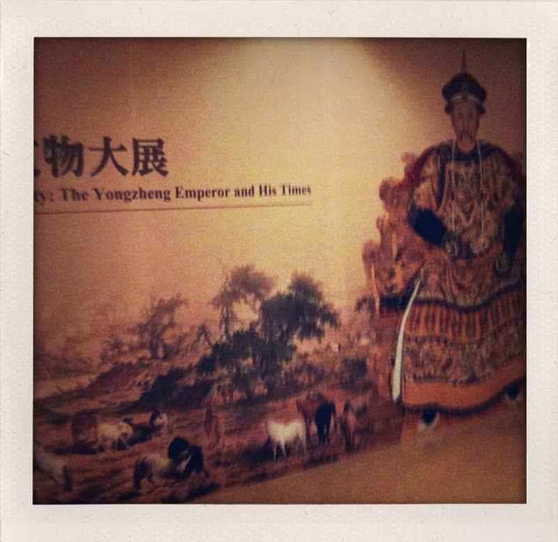 Thought-Provoking Exhibitions