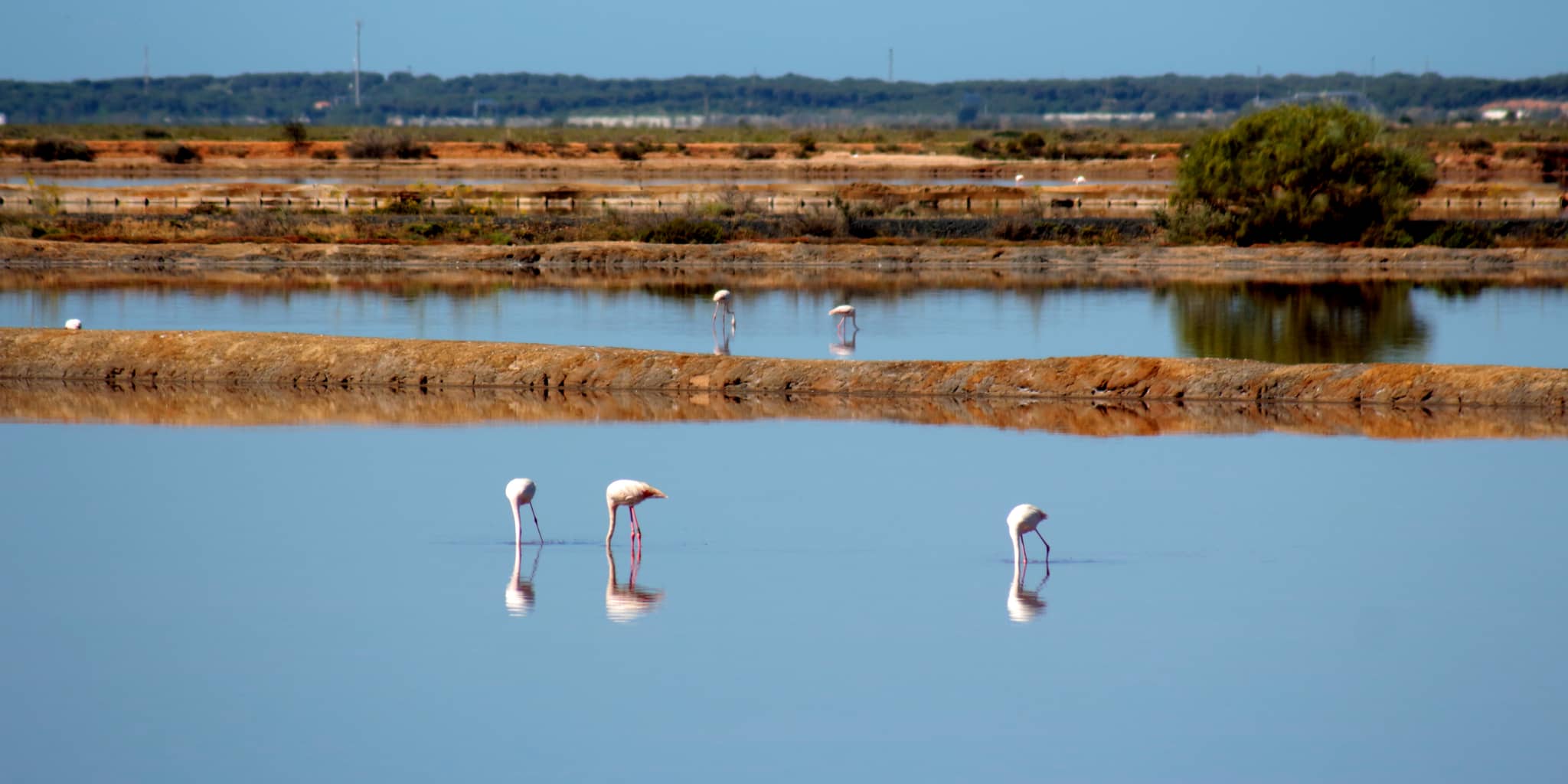 Ria Formosa Natural Park