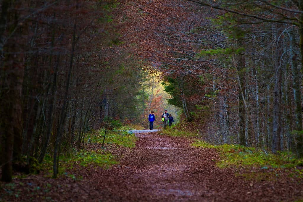 National Park Berchtesgaden