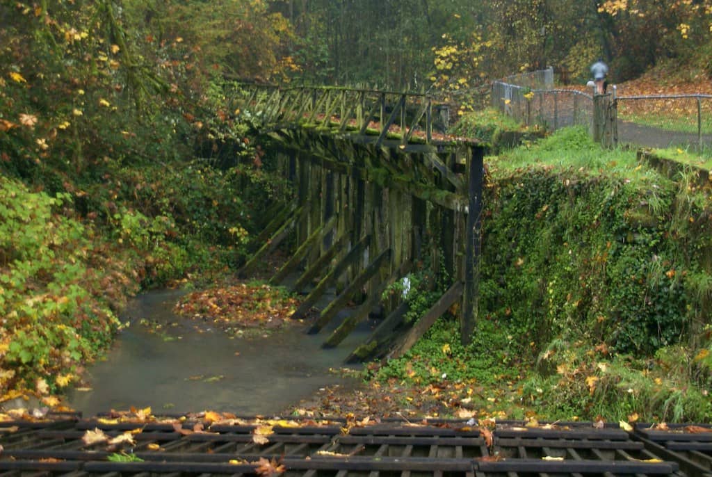 Lower Macleay Trail