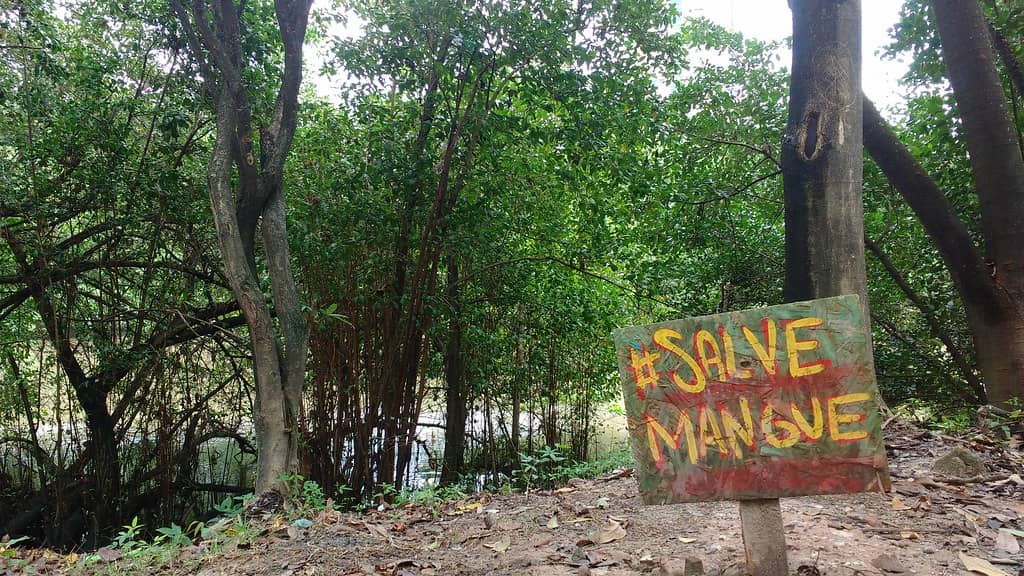 Nature Escape in the City