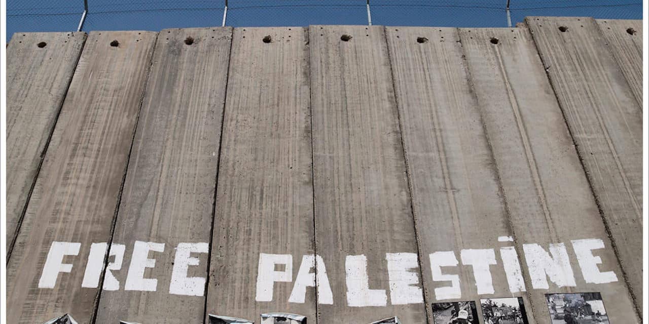 Voices of Activism