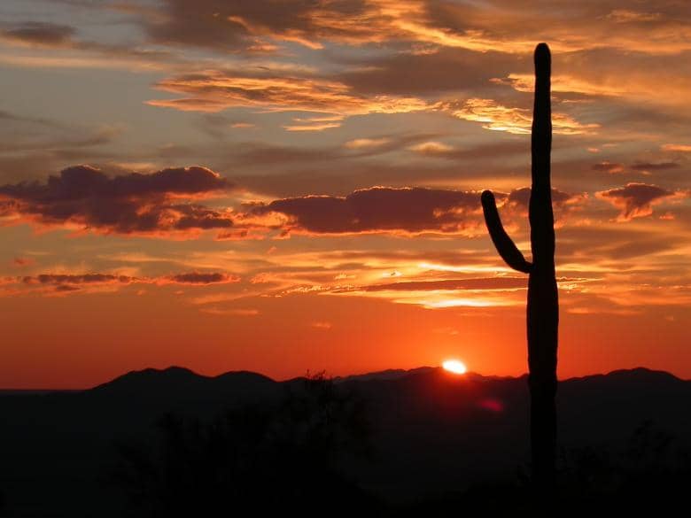 Panoramic Desert Views