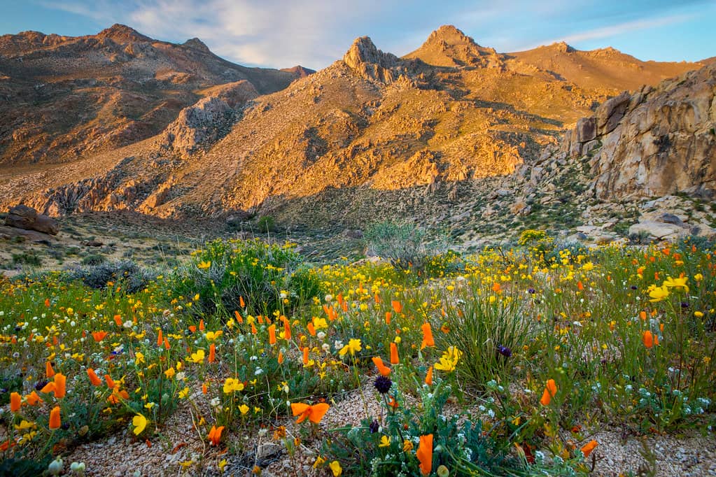 Pacific Crest Trail (PCT) Access