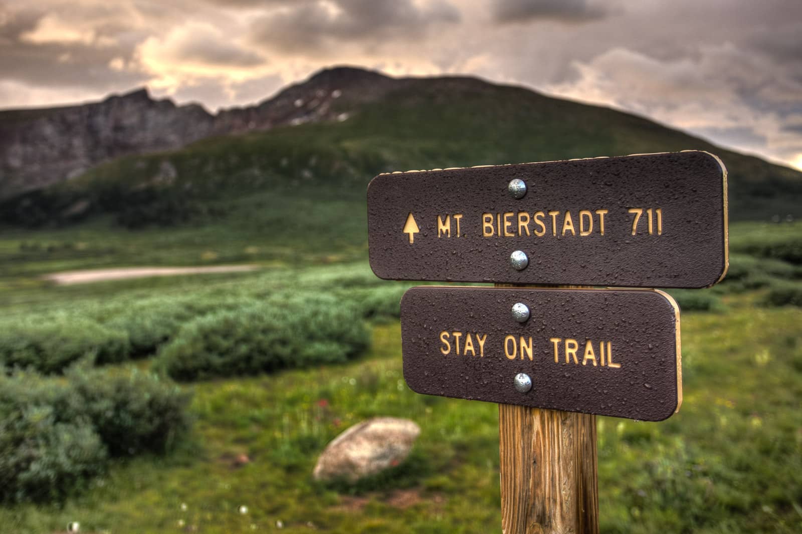 Hiking Trails