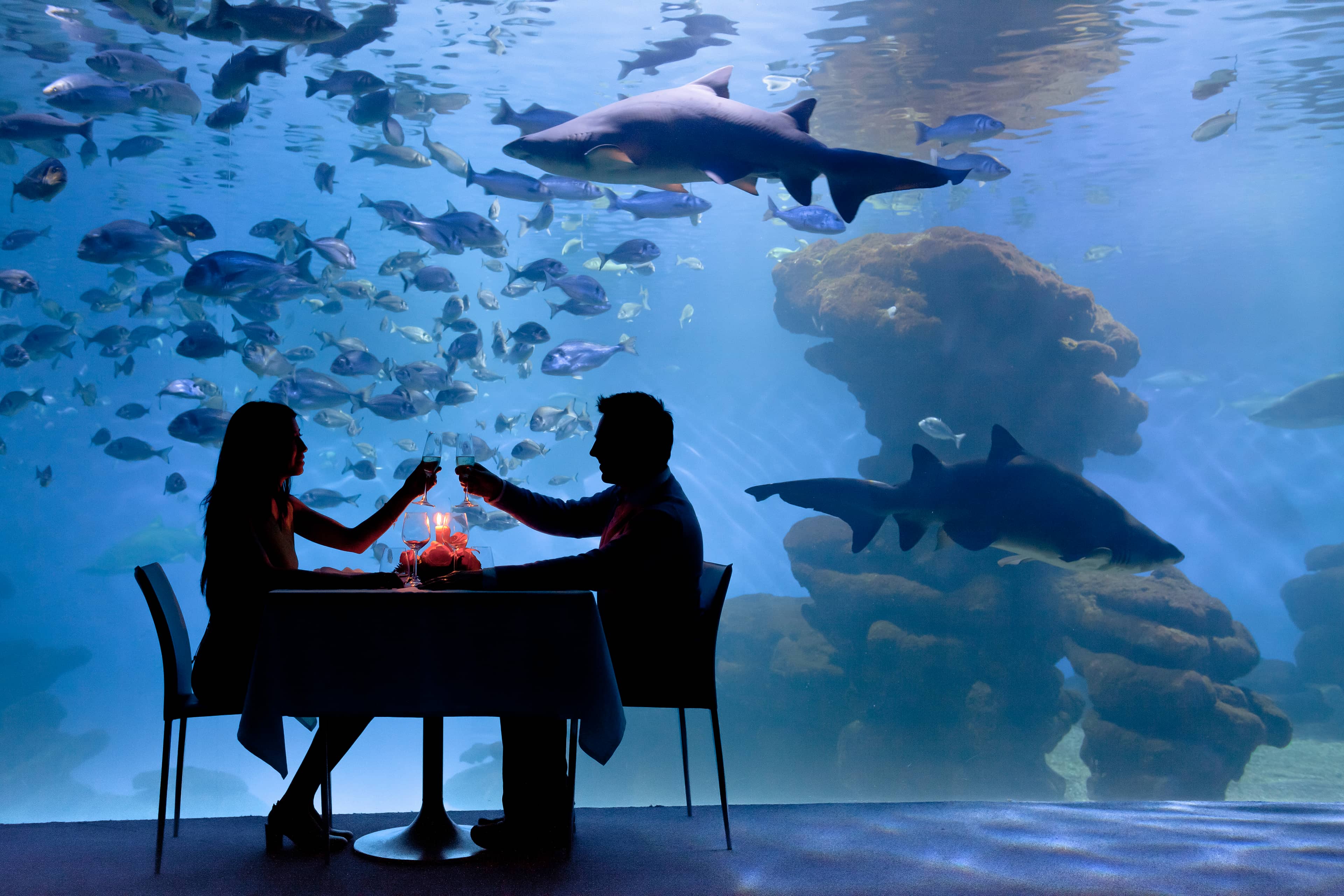 Tropical Seas Exhibit