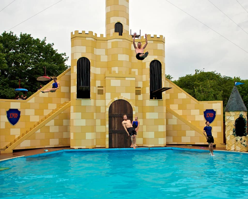 Live Shows & Entertainment