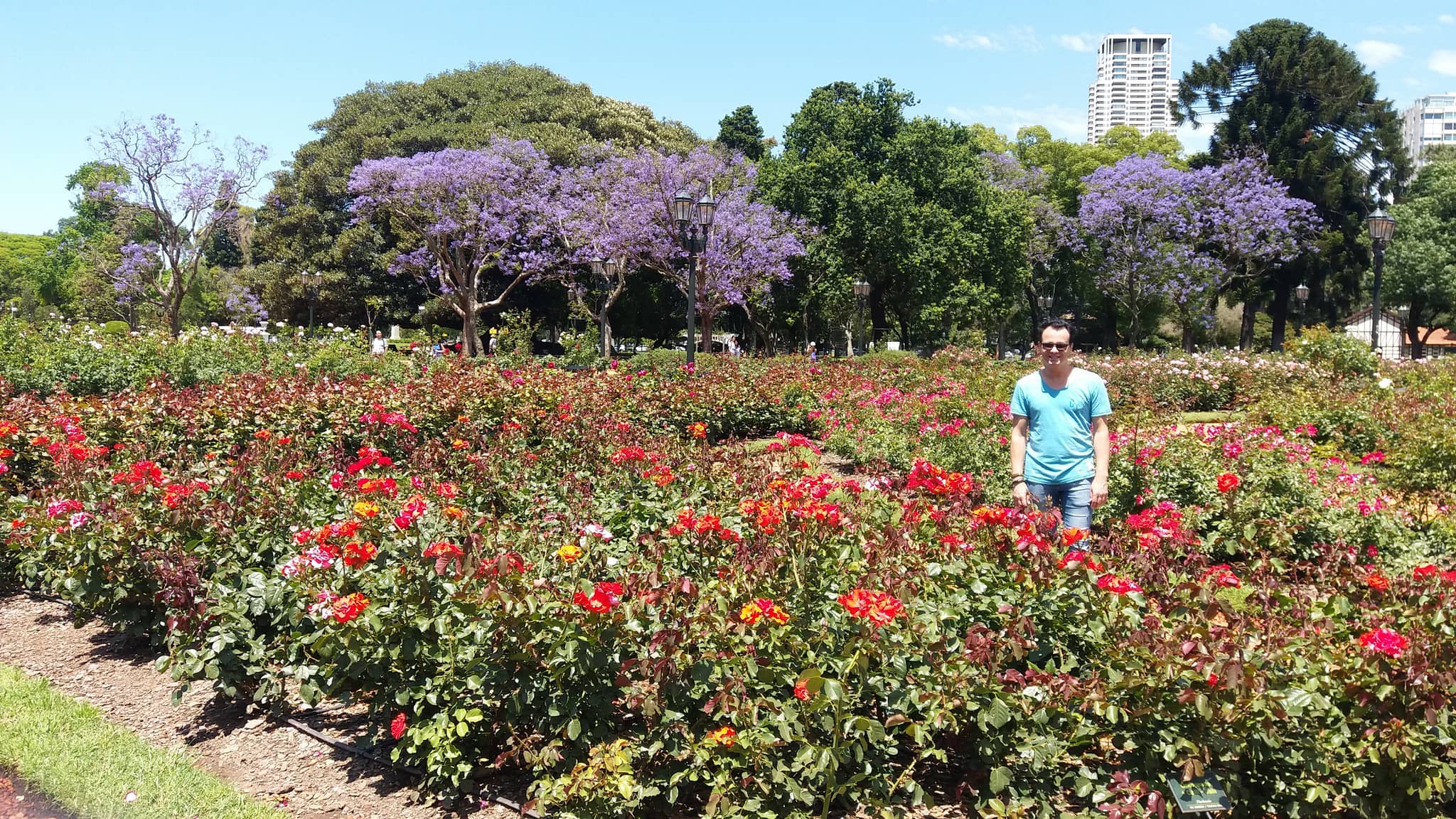 Green Spaces Galore