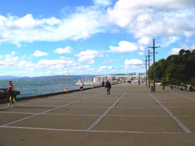 Harborfront Stroll