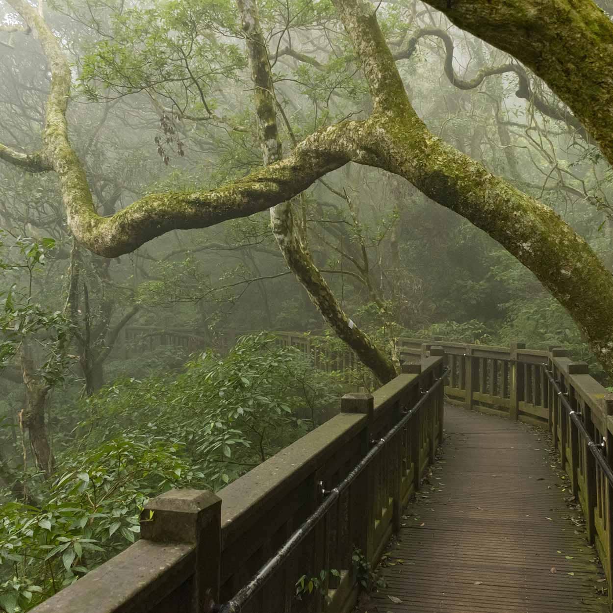 Six Miles of Trails