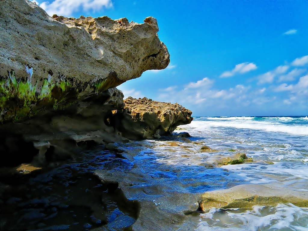 Blowing Rocks Preserve
