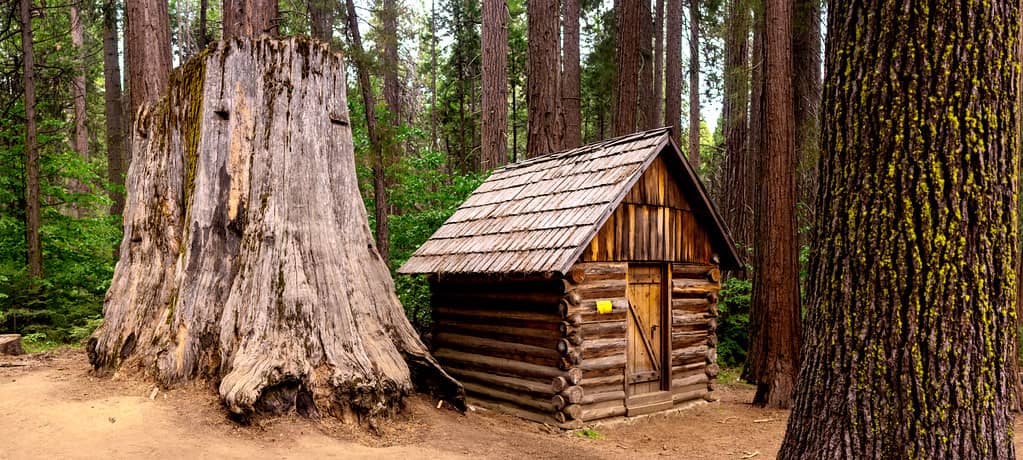 Historic Log Shack