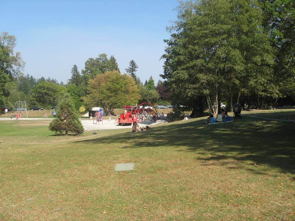 Family Fun Zone