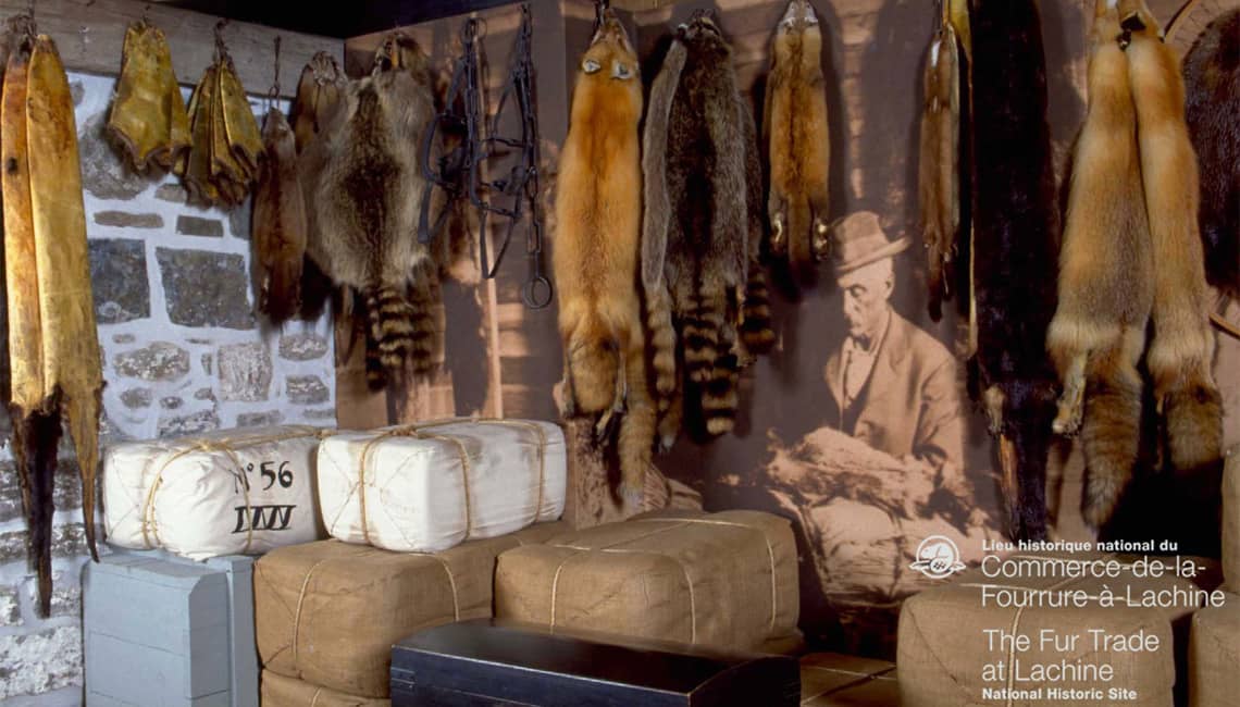 Interactive Fur Exhibits