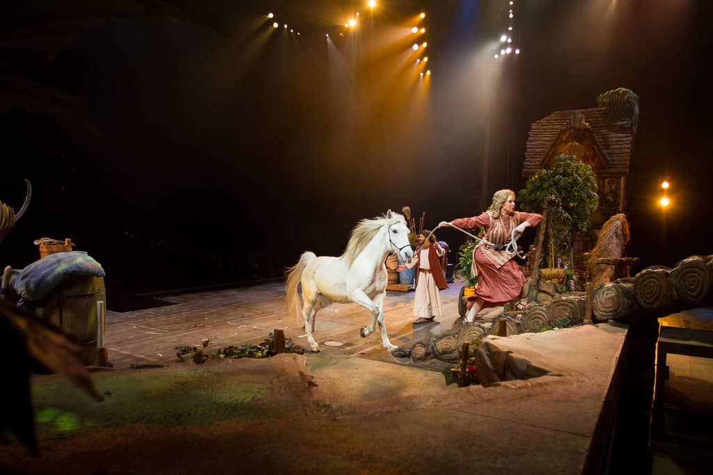 Live Animals on Stage