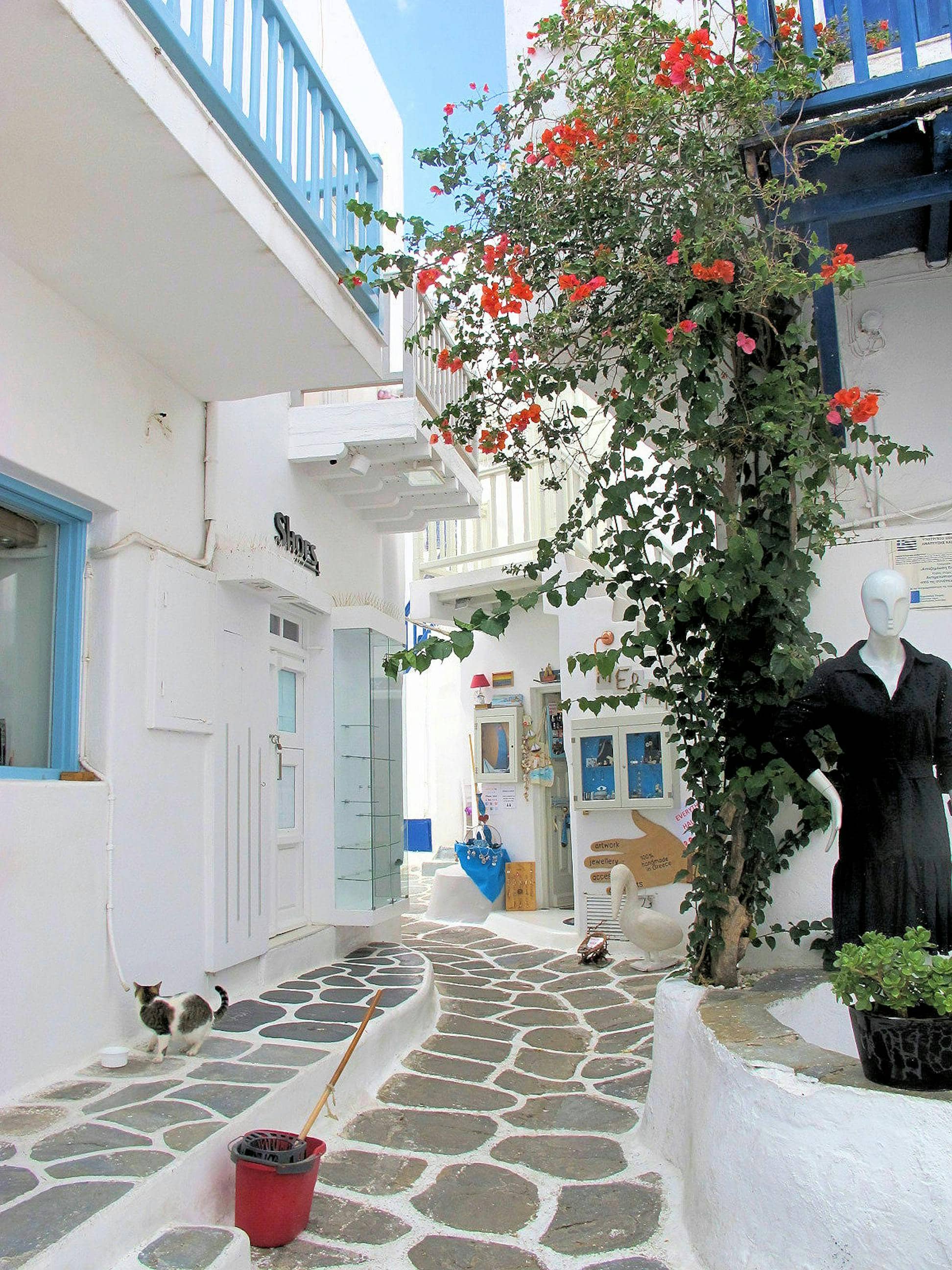 Bougainvillea-Draped Alleys
