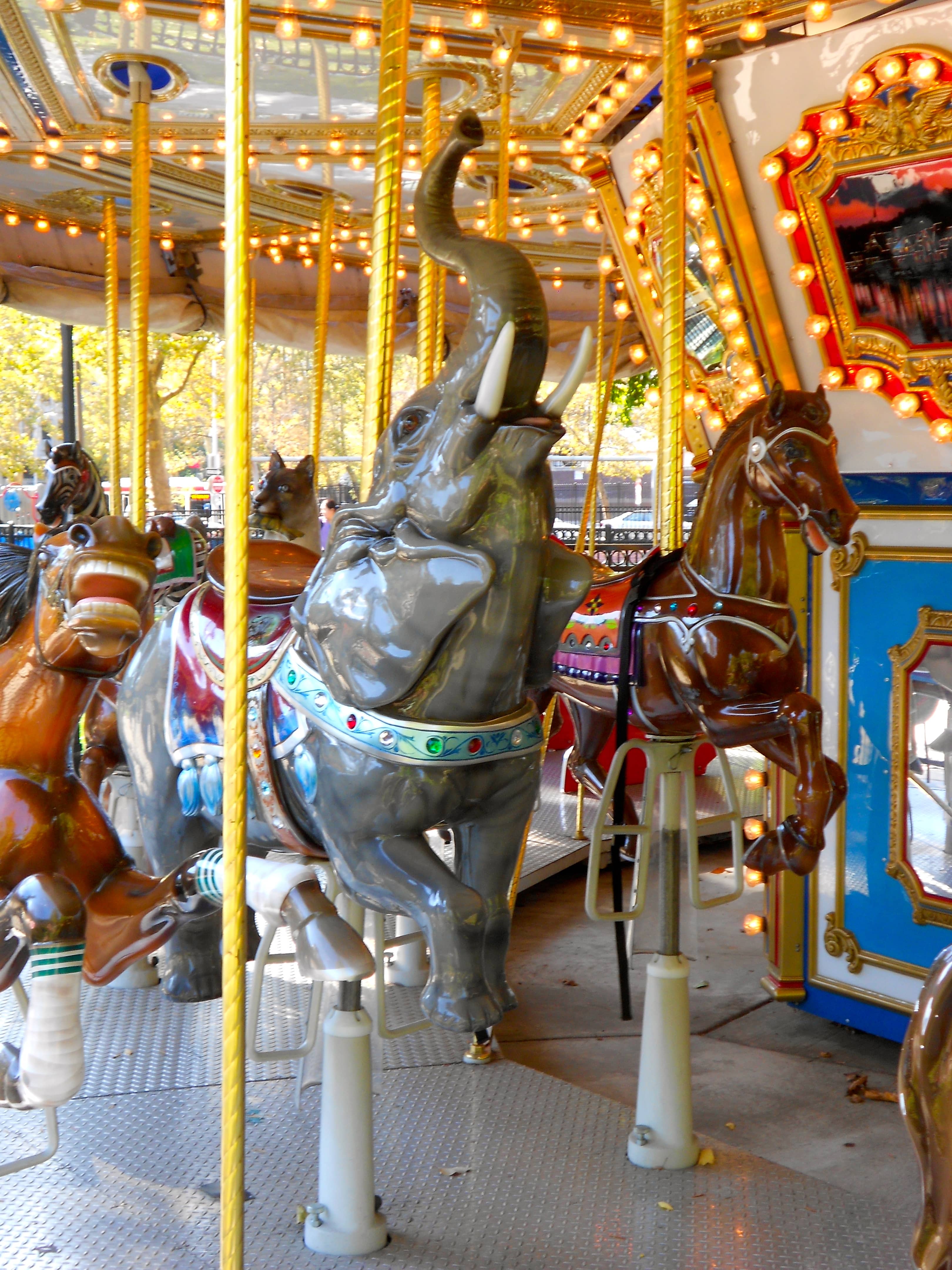Carousel Rides