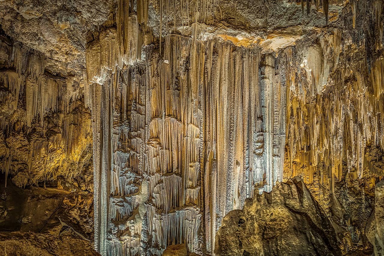 Prehistoric Art